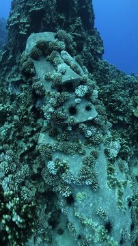 MOAI - RAPA NUI - HAKARAVA