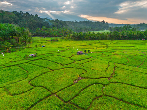 Aerial view of Taba Tembilang rice terraces with small huts, palm trees, and forested hills under a dramatic cloudy sky in Arga Makmur, Bengkulu, Indonesia.