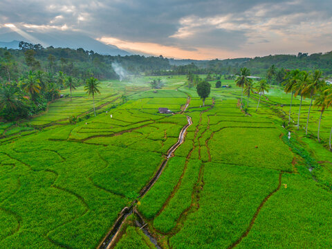 Aerial view of Taba Tembilang rice terraces with lush green paddies, palm trees, and irrigation channels under a soft sunset sky in Arga Makmur, Bengkulu, Indonesia.