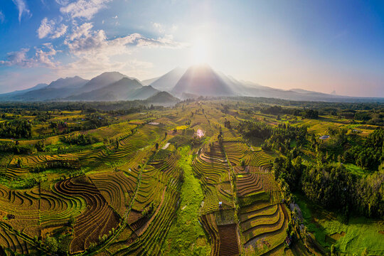 Aerial view of Kemumu terraced rice fields at sunrise with lush green hills and mountains in the background in Arma Jaya, Bengkulu, Indonesia.