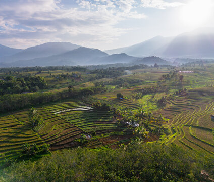 Aerial view of Kemumu rice terraces with lush green paddies, rolling hills, and distant mountains under a bright sky in Arma Jaya, Bengkulu, Indonesia.