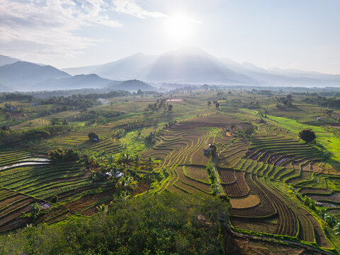 Aerial view of the lush Kemumu rice terraces with rolling hills and mountains under a bright sun in Arma Jaya, Bengkulu, Indonesia.