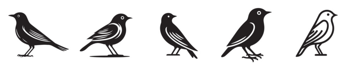Fototapeta premium Collection of black and white bird icons in modern flat design