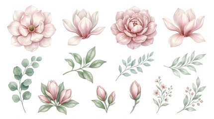 Fototapeta premium Watercolor pink magnolia flowers and leaves isolated on transparent background