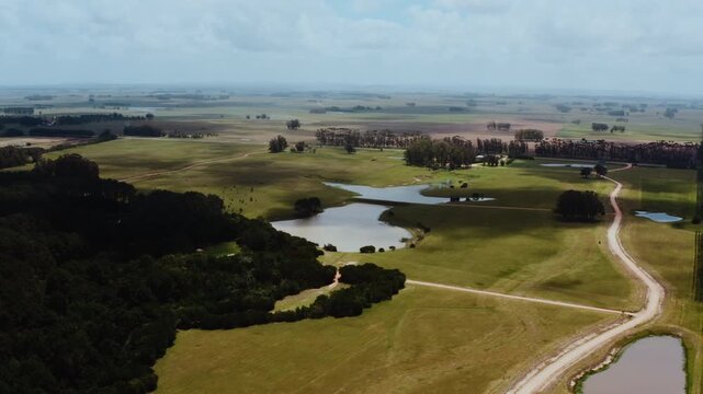 Drone shot Pristine Coastal Forest and wetlands near Playa Garzon