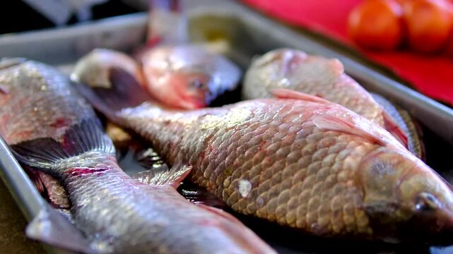 fish on the counter carp crucian carp small big fish in iron bowls for sale catch poaching or fair bets