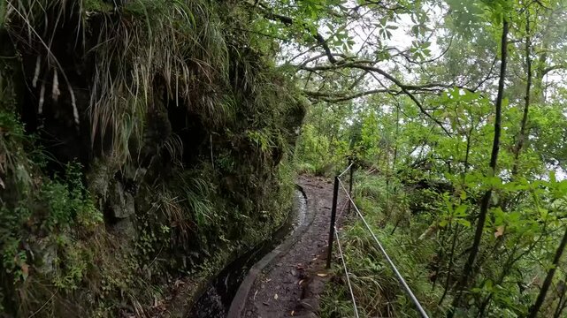 Hiking Trail Along the Historic Levada Through Ancient Laurisilva Rainforest, Madeira
