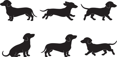 Obraz premium Collection of Dachshund Dog Silhouettes in Different Poses Isolated Vector Set for Pet, Animal and Design Projects