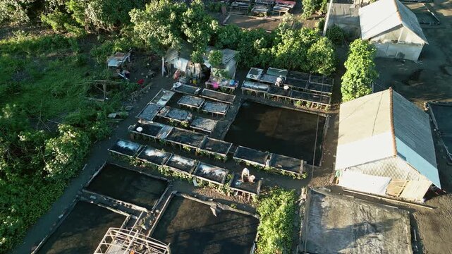 Traditional sea salt industry with workers producing natural mineral salt using drying ponds and manual harvesting methods at salt farm, push-in aerial drone footage.