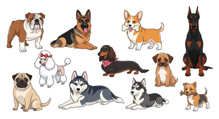 Fototapeta premium Set of various dog breeds