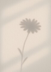 Obraz premium Minimalist floral shadow elegance