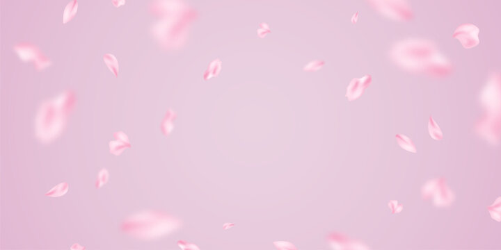 Flower petals fall onto an abstract background, forming a beautiful floral pattern on a greeting card. Vector illustration.