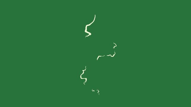 White outline and snake on background it of face body horse frame cartoonish - Chroma Key Green Screen Footage