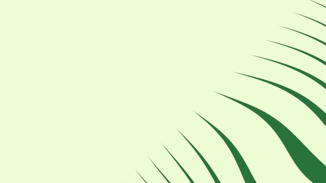 A green background with white border and wavy lines leaf on grass green screen design motion illustration - Chroma Key Green Screen Footage