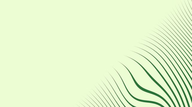 A green background with white border and lines striped pattern on plant grass outline leaf green screen design illustration - Chroma Key Green Screen Footage