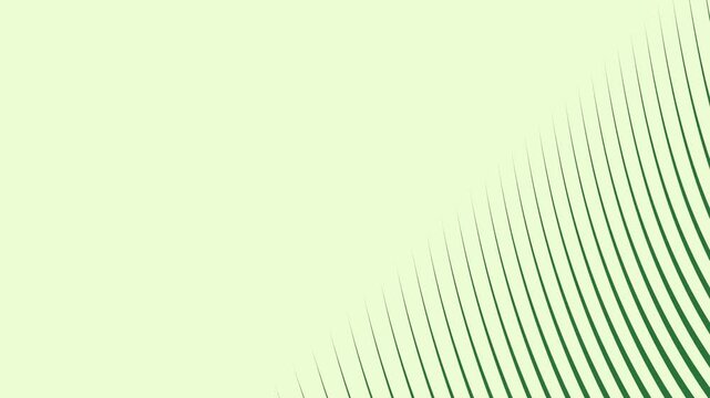 A green background with white border and leaf wave pattern the flag pakistan abstract design letter m on green screen - Chroma Key Green Screen Footage