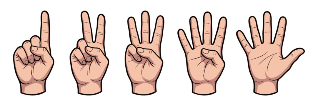 Hand Counting Set Vector Illustration Showing Numbers One to Five with Realistic Hand Gestures