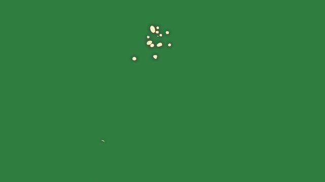 Dots flower small dot hole object isolated on green screen background