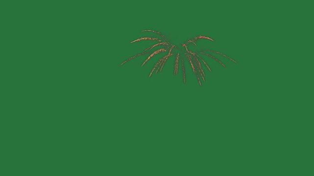 White border and spider on screen firework pattern bug fireworks lines it isolated on green screen background