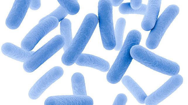 Blue bacillus bacteria microscopic organisms, isolated on transparent background