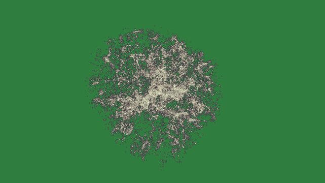 Broken heart on tree small object flower it black pattern seahorse isolated on green screen background