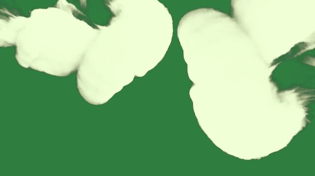 Cloud on smoke frame photo black of man in suit border rabbit clouds the shape heart isolated on green screen background