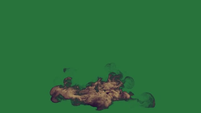 White border and screen smoke coming out of it bunch flowers on map the world an image dog bee small bird ' s back black substance isolated on green screen background