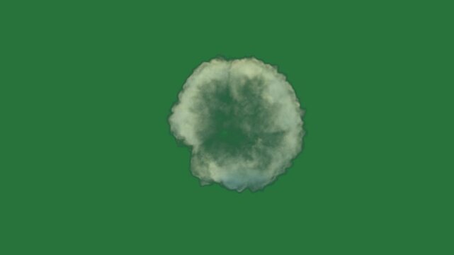 White border and cloud floating in the air on screen flower isolated on green screen background