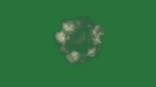 White border and cloud on screen is floating in the air smoke coming out of it snowball middle flower isolated on green screen background