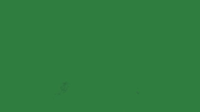 Cloud smoke coming out of it close up fire black cat on isolated on green screen background