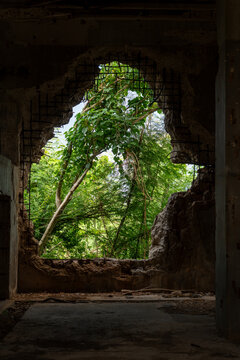 View of the ruins of North Field Base with a large jagged opening in the concrete wall revealing lush green trees and foliage in Northern Tinian, Tinian, Northern Mariana Islands.