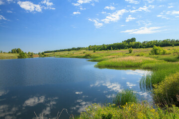 Obraz premium Sunny summer landscape with pond and field