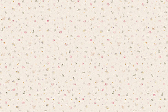 dried pressed flowers, soft floral background, wildflowers and leaves, pastel botanical wallpaper, delicate spring flowers, vintage paper texture