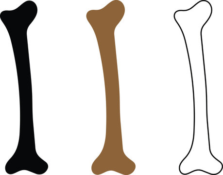 Set of bone vector illustrations. single femur bone in various styles vector graphic design element.