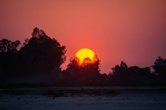 View of the sun setting behind silhouettes of trees in Bogura, Rajshahi Division, Bangladesh.