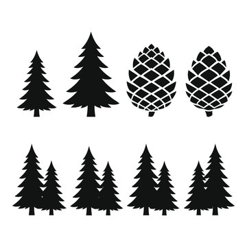 Black silhouettes of pine trees and pine cones on white background icon