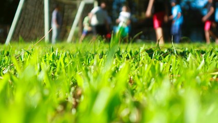 Close-up of vibrant green grass with blurred children playing soccer in the background on a sunny day © Wahjoekris