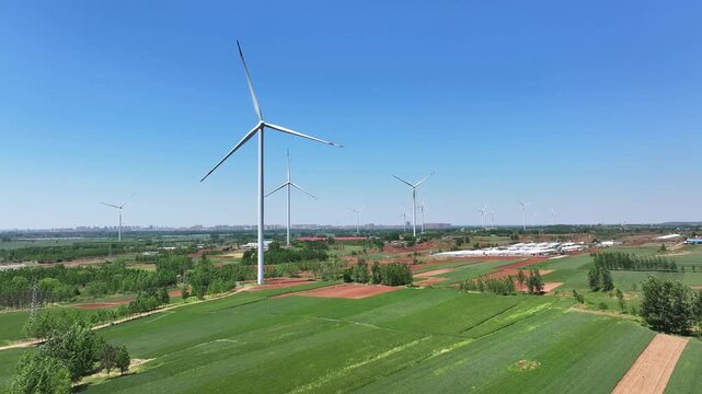 Multiple white wind turbines standing in green farmland under clear blue sky