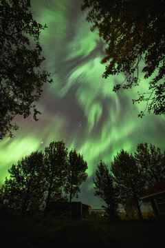 Northern Lights in Iceland