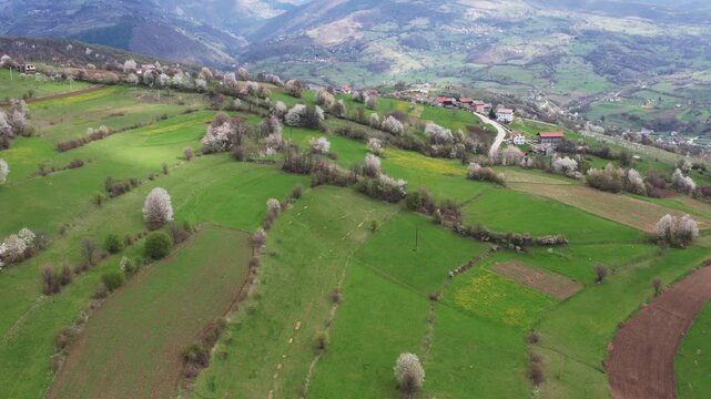 Guča Gora near Travnik was declared the most beautiful village in Bosnia and Herzegovina