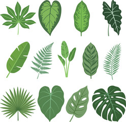 Flat Tropical Leaves Vector Clipart Set, Lineless Botanical Foliage Collection © Seulgi