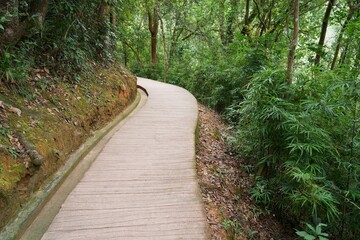 Fototapeta premium Trail in forest in Danxia Mountains (Danxiashan) in Renhua County in Shaoguan (Guangdong Province), China.