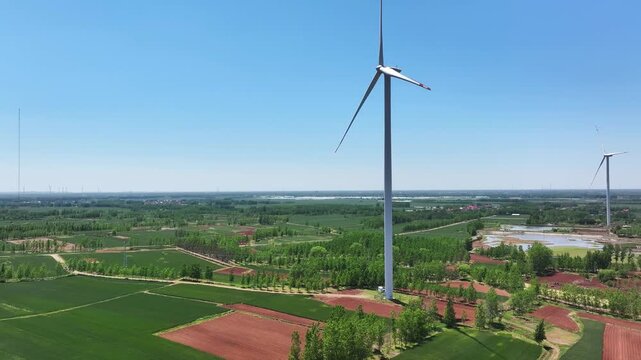 Multiple white wind turbines stand tall in agricultural fields under a clear blue sky