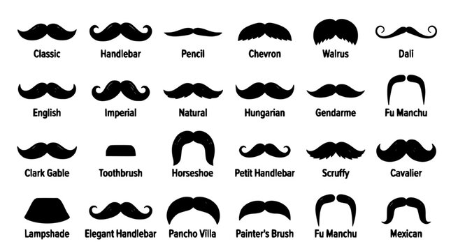 Mustache Designs Showcasing Various Styles and Shapes for Facial Hair Inspiration Featuring Classic, Handlebar, Pencil