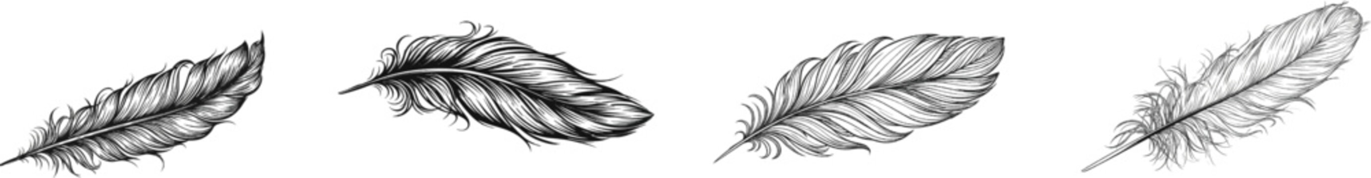 A meticulously detailed black-and-white vector line art of a single feather floats gracefully against a pristine white backdrop, exuding elegance and simplicity in its minimalist design