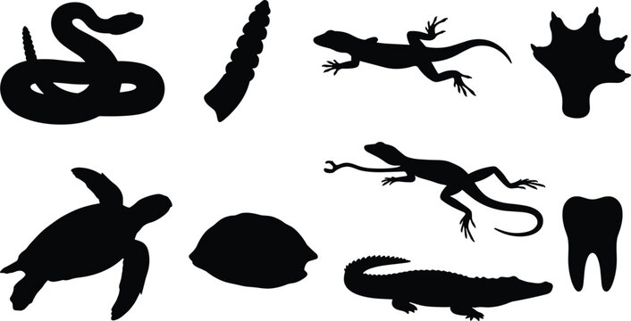 Collection of reptiles and wild animals black silhouettes including snake turtle lizard and crocodile isolated on white background