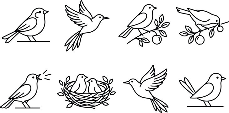 Set of minimalist bird line art icons featuring flying, singing, and nesting birds for nature and wildlife design projects