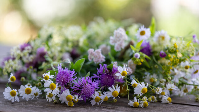 Wildblumen mit heilender Wirkung auf einem Holztisch draussen im Gr&uuml;nen - Naturheilkunde Hintergrund oder Banner
