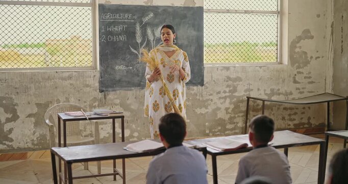Indian young adult female hold dry wheat plant teach lesson talk speak indoor class room rural area tutor woman show crop roots parts point stick on board boy do study learn at village place desi life