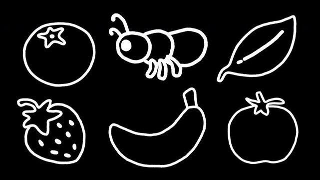 Transparent background. White line art of kawaii ant, tomato, leaf, strawberry, blueberry, banana. Chalk sketch 2D animation with vibrating lines and wiggly doodle effect. Loopable graphic overlay.